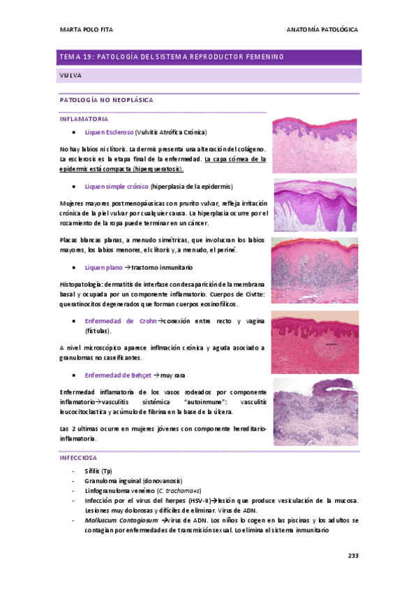 Miniatura del documento ANATOMIA-PATOLOGICA-tema-18.pdf