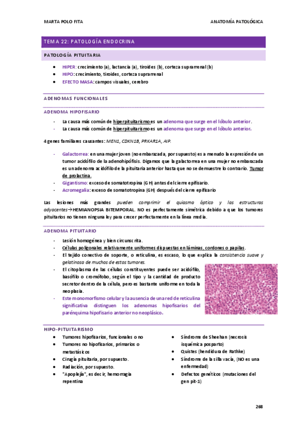 Miniatura del documento ANATOMIA-PATOLOGICA-tema-21.pdf