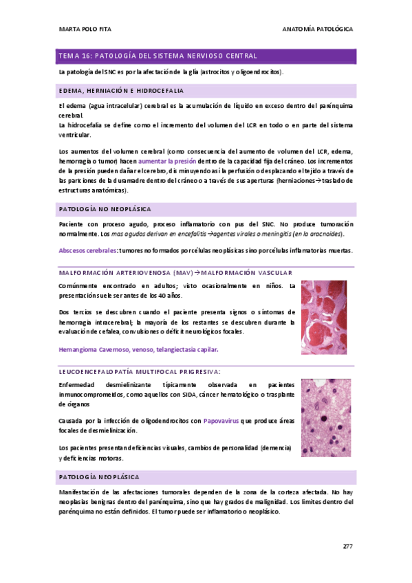 Miniatura del documento ANATOMIA-PATOLOGICA-tema-22.pdf