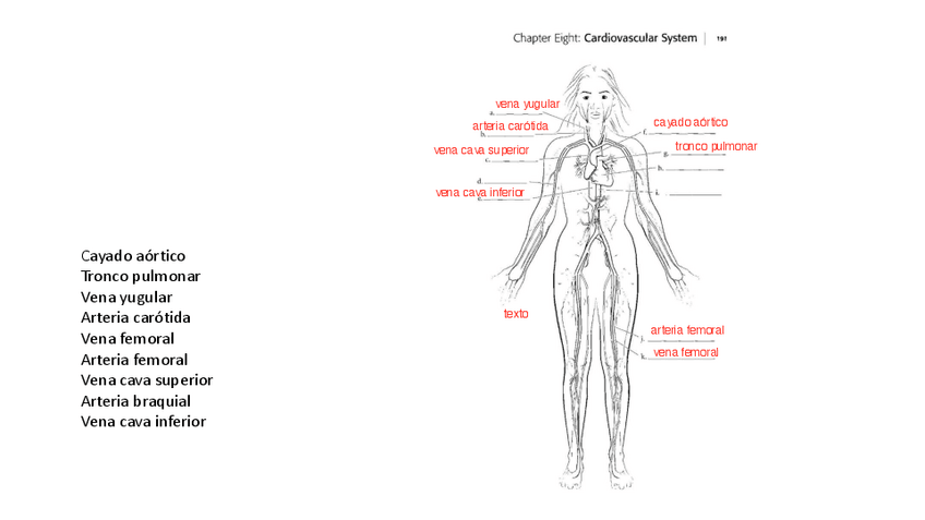 Miniatura del documento Ilustraciones-examen-parcial-2023.pdf