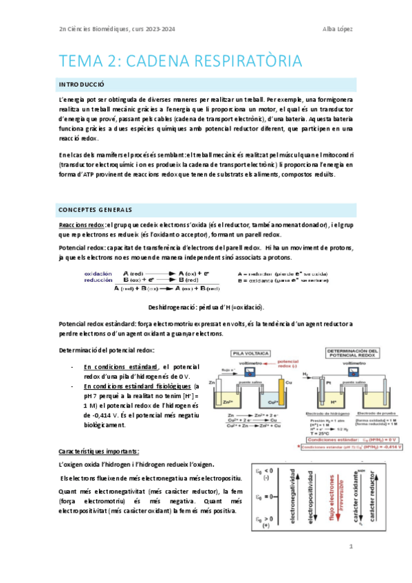 Miniatura del documento Tema-2.-La-cadena-respiratoria.pdf