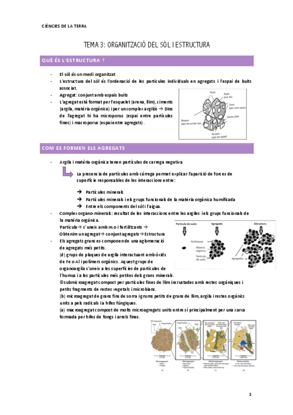 Miniatura del documento ORGANITZACIO-DEL-SOL-ESTRUCTURA-ct.pdf