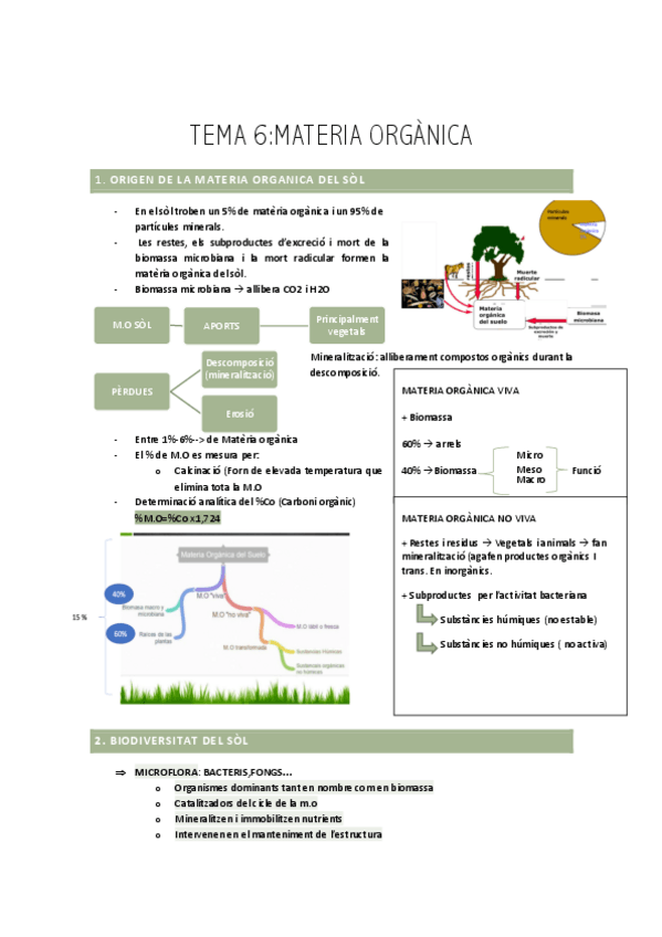 Miniatura del documento T-6-MATERIA-ORGANICA-CT.pdf
