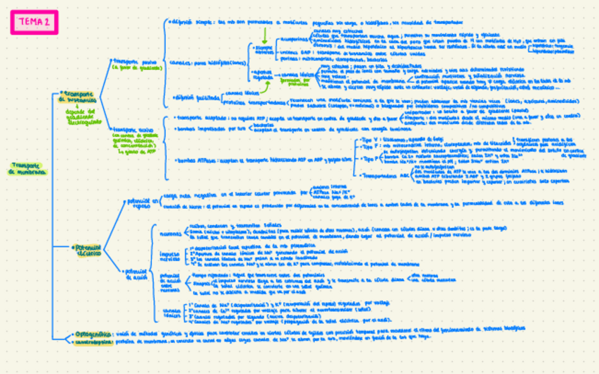 Miniatura del documento Tema-2.pdf