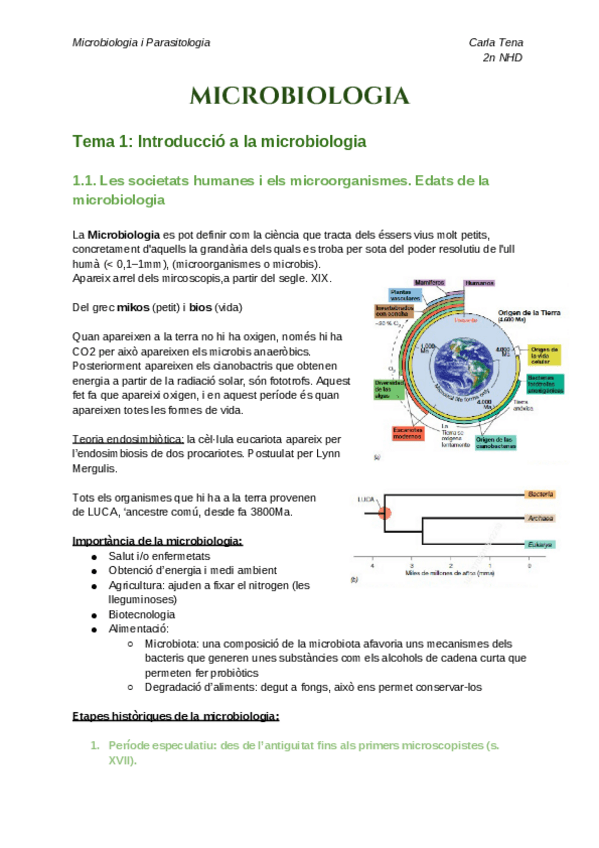 Miniatura del documento 2n-NHD-Microbiologia.pdf.pdf
