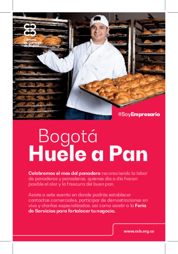 Miniatura del documento VOLANTE.pdf