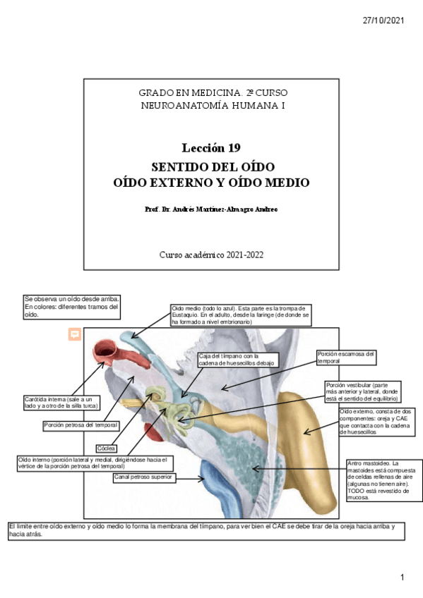 Miniatura del documento Leccion-19.pdf