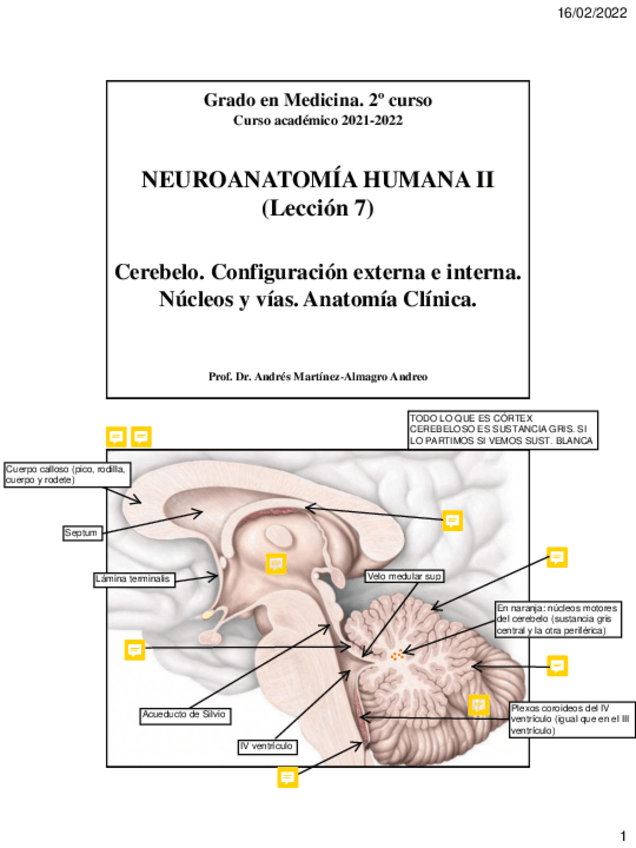 Miniatura del documento Leccion-7.-Cerebelo.pdf