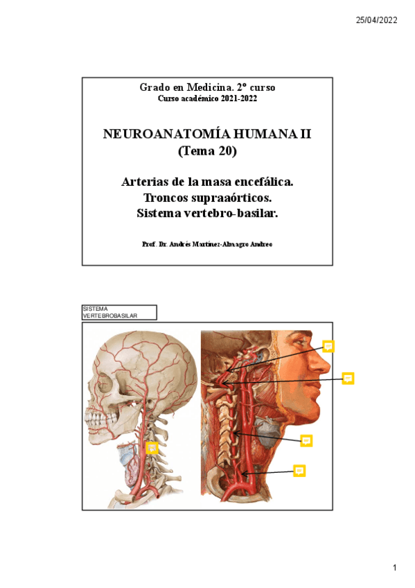 Miniatura del documento Leccion-20.-Sistema-vertebro-basilarunlocked.pdf