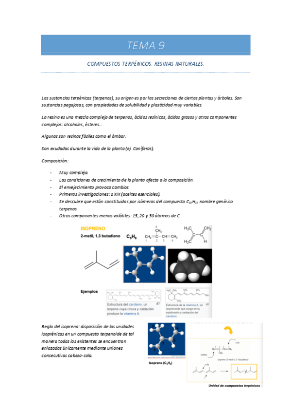 Miniatura del documento TEMA-9.pdf
