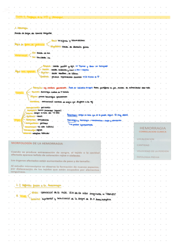Miniatura del documento LECCION-9.pdf