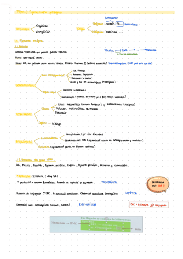 Miniatura del documento LECCION-6.pdf