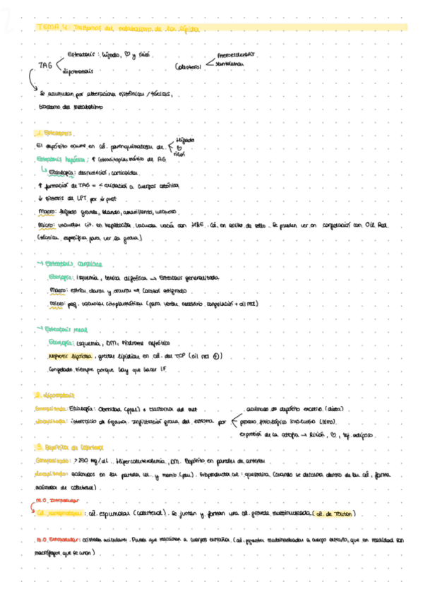 Miniatura del documento LECCION-4.pdf