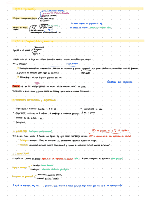 Miniatura del documento LECCION-2.pdf