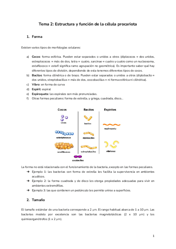 Miniatura del documento Tema-2-Estructura-y-funcion-de-la-celula-procariota.pdf