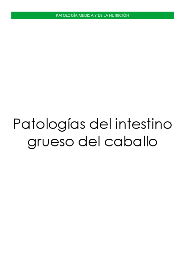Miniatura del documento Patologias-del-intestino-grueso-del-caballo.pdf