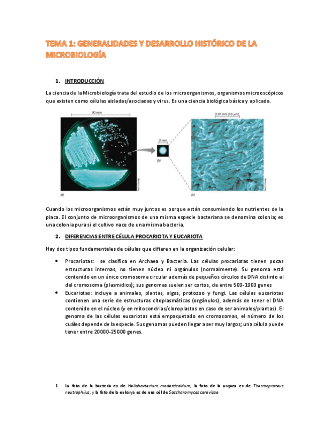 Miniatura del documento TEMA-1.pdf