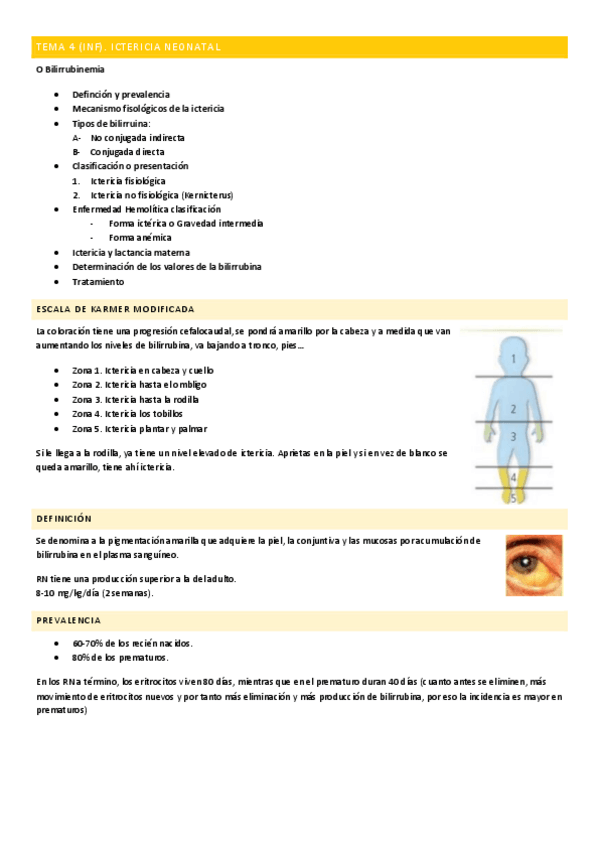 Miniatura del documento Copia-de-U-VI.-TEMA-4.-ICTERICIA-NEONATAL.pdf