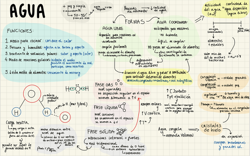 Miniatura del documento Agua.jpg