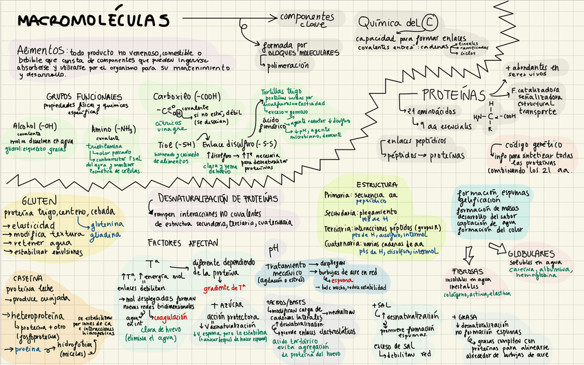 Miniatura del documento Macromoleculas-y-proteinas.jpg