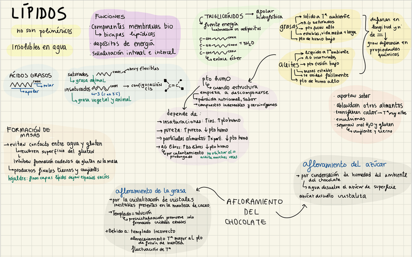 Miniatura del documento Lipidos.jpg