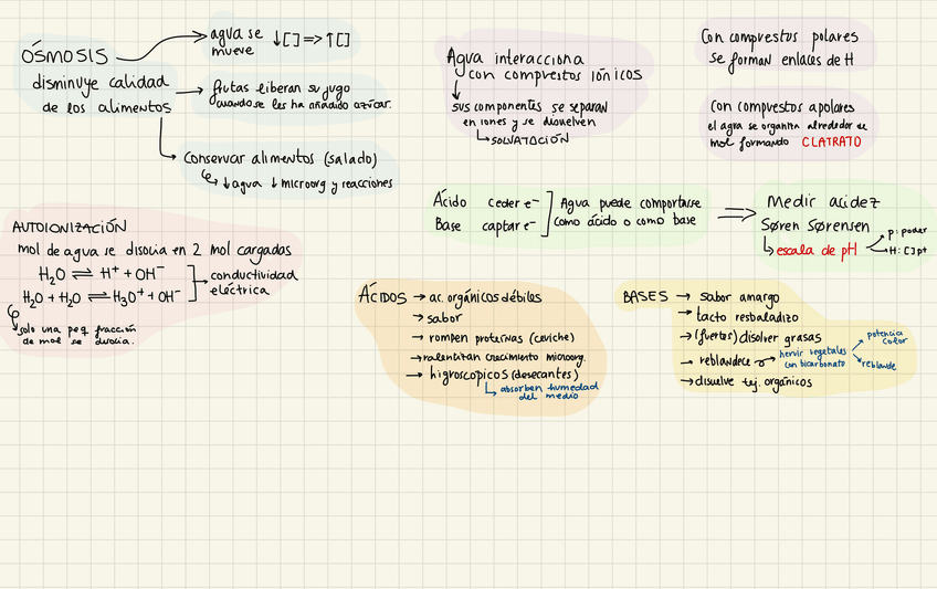 Miniatura del documento IMG0729.jpg