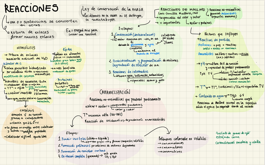 Miniatura del documento IMG0730.jpg