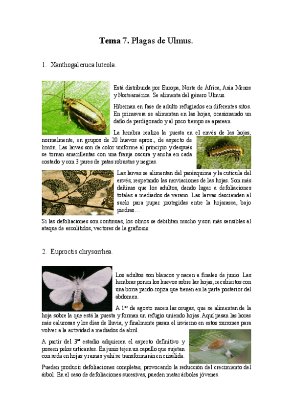 Miniatura del documento Tema-7Plagas.pdf