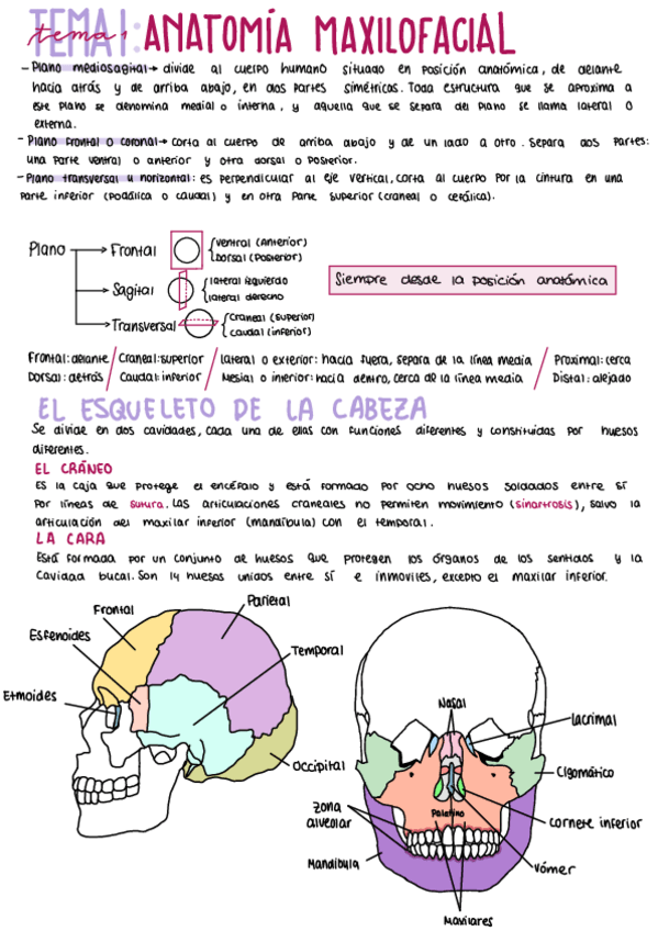 Miniatura del documento Tema-1-diseno.pdf