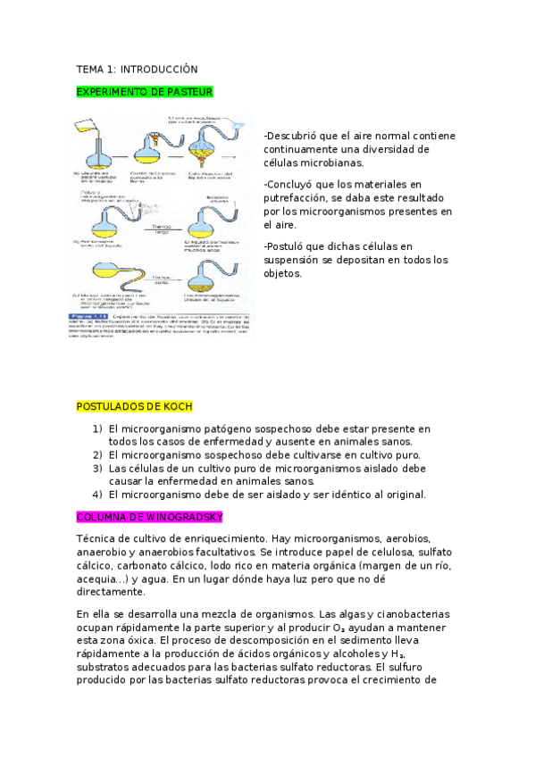 Miniatura del documento APUNTES BUENOS MICRO (Reparado).docx