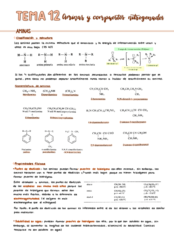 Miniatura del documento Apuntes-T12-Aminas-y-compuestos-nitrogenados.pdf