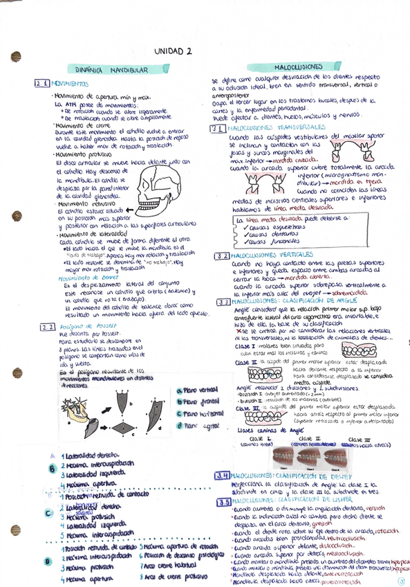 Miniatura del documento apuntes-ortodoncia-tema-2.pdf