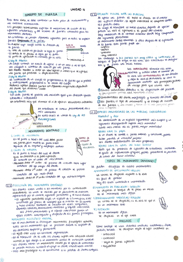 Miniatura del documento apuntes-ortodoncia-tema-4.pdf