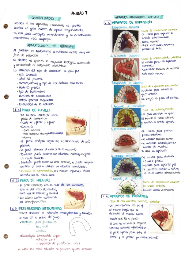 Miniatura del documento apuntes-ortodoncia-tema-7.pdf