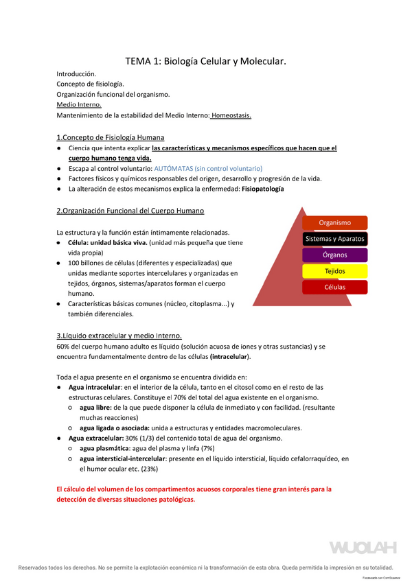 Miniatura del documento TEMA-1-FISIOO.pdf