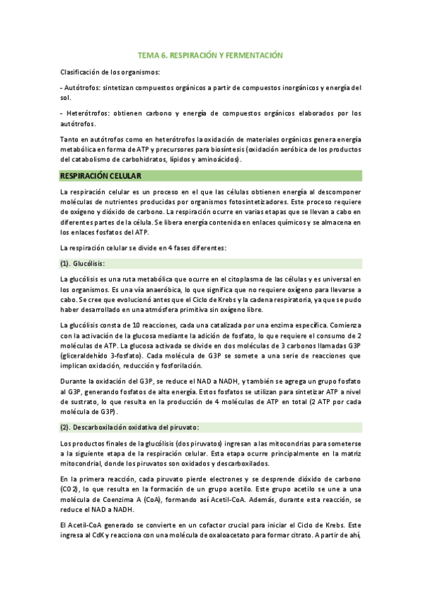 Miniatura del documento tema-6.-respiracion-y-fermentacion.pdf