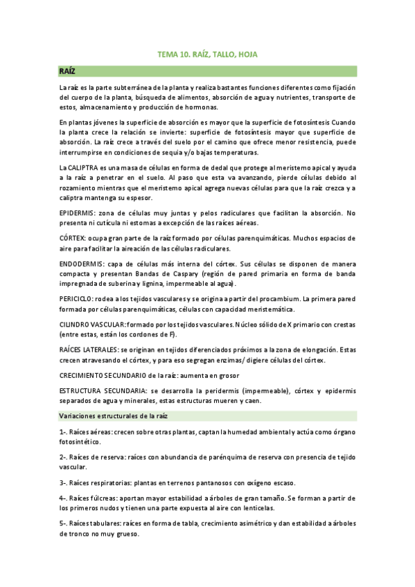 Miniatura del documento tema-10.-raiz-tallo-hoja.pdf