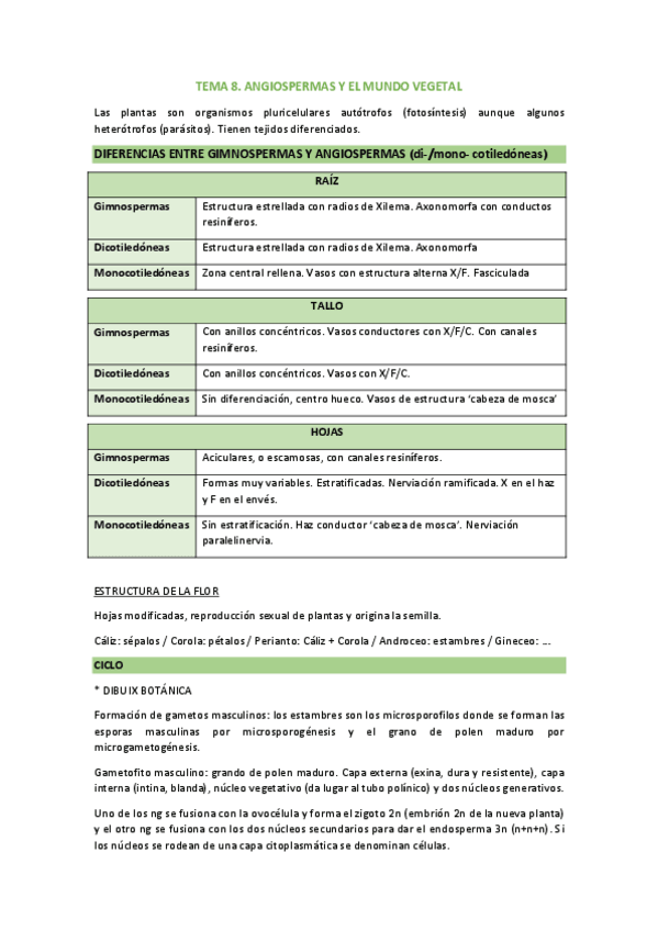 Miniatura del documento tema-8.-angiospermas-y-el-mundo-vegetal.pdf