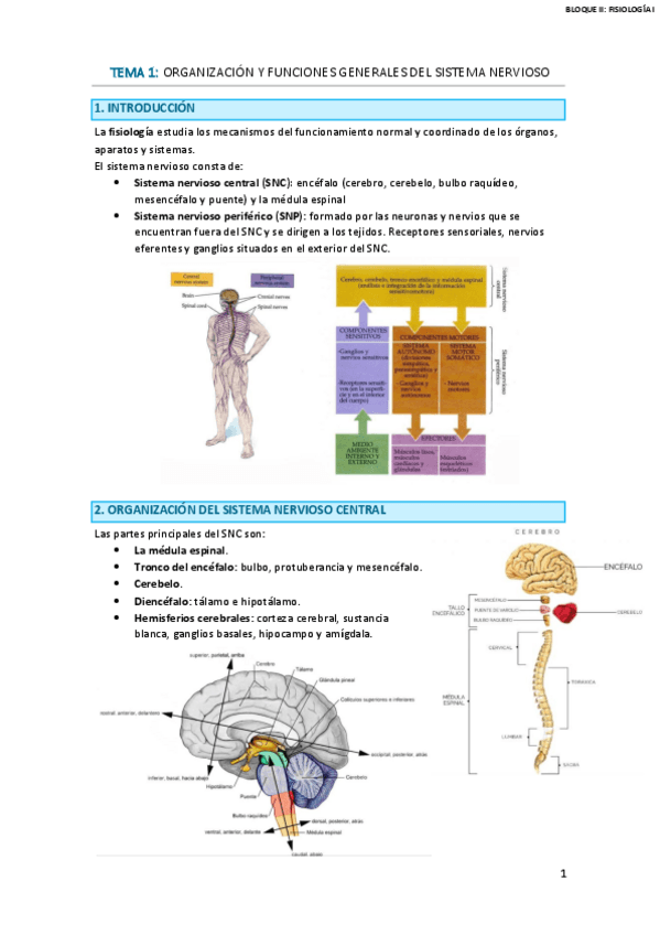 Miniatura del documento TEMARIO-COMPLETO-FISIOLOGIA-I.pdf