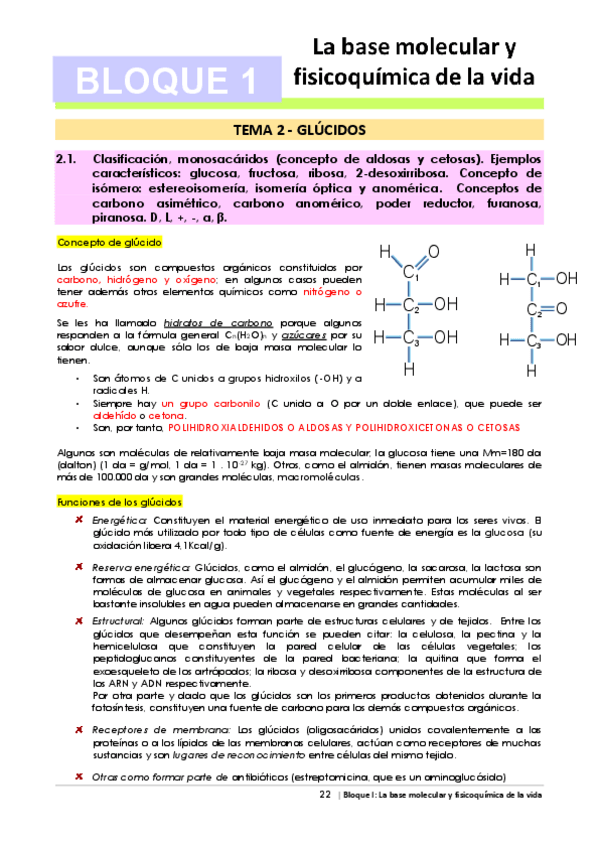 Miniatura del documento Tema-2-Glucidos.pdf
