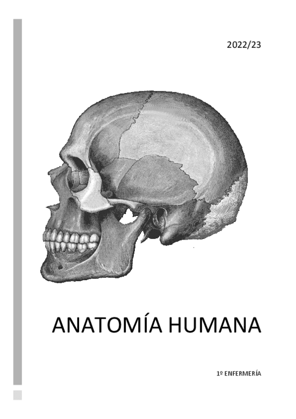 Miniatura del documento Anatomia-Humana.pdf