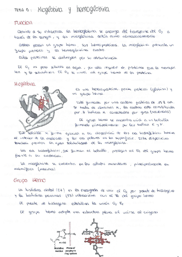 Miniatura del documento tema5.pdf