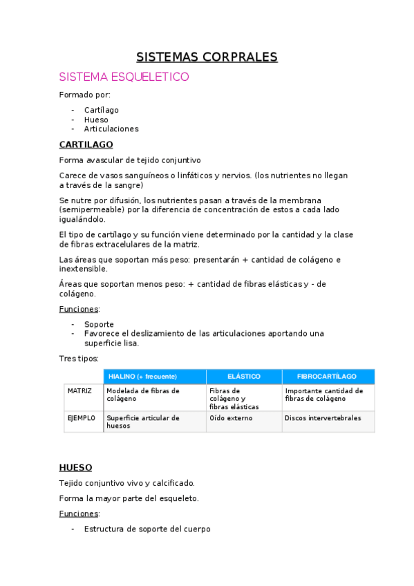 Miniatura del documento 1.-Planos-anatomicos-tipos-histologicos-y-sistema-musculoesqueletico.docx