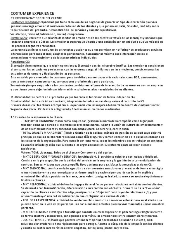 Miniatura del documento CUSTOMER-EXPERIENCE.pdf