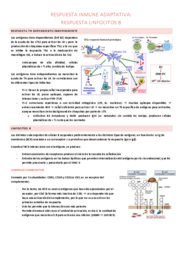 Miniatura del documento RESPUESTA-ADAPTATIVA-III-B.pdf