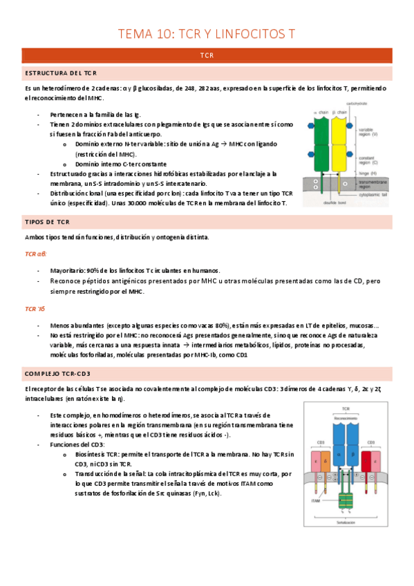 Miniatura del documento TEMA-10-TCR-Y-LINFOCITOS-T.pdf