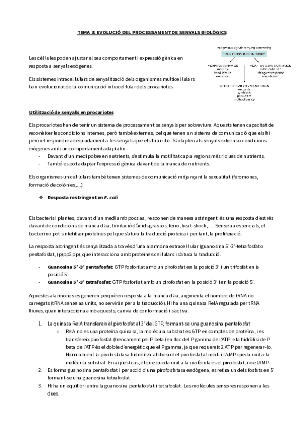 Miniatura del documento TEMA-3-EVOLUCIO-DEL-PROCESSAMENT-DE-SENYALS-BIOLOGICS-1.pdf