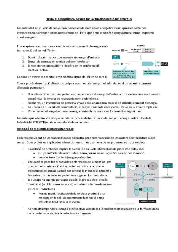Miniatura del documento TEMA-2-BIOQUIMICA-BASICA-DE-LA-TRANSDUCCIO-DE-SENYALS-1.pdf