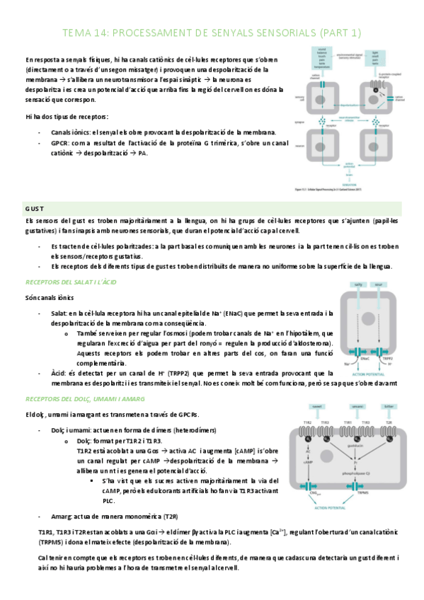 Miniatura del documento TEMA-14-PRIMERA-PART.pdf