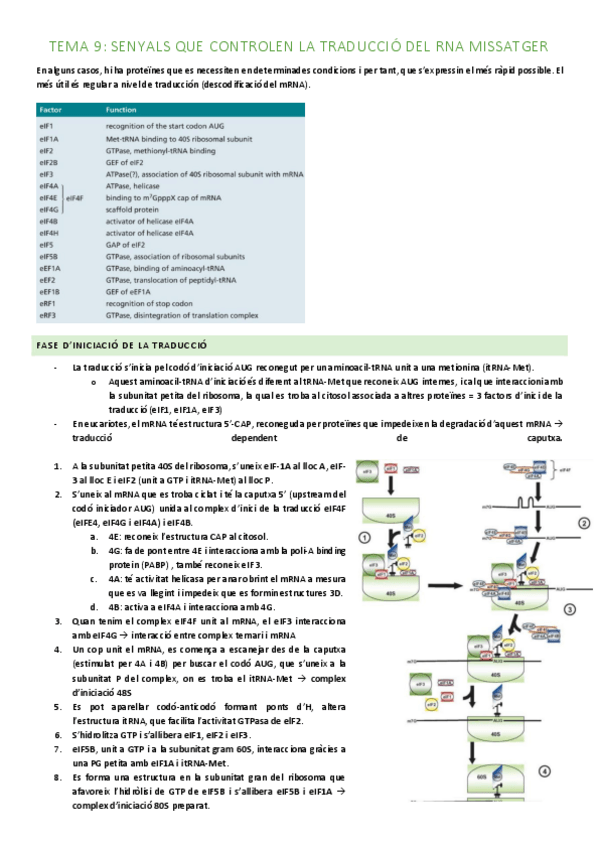Miniatura del documento TEMA-9-TRADUCCIO.pdf